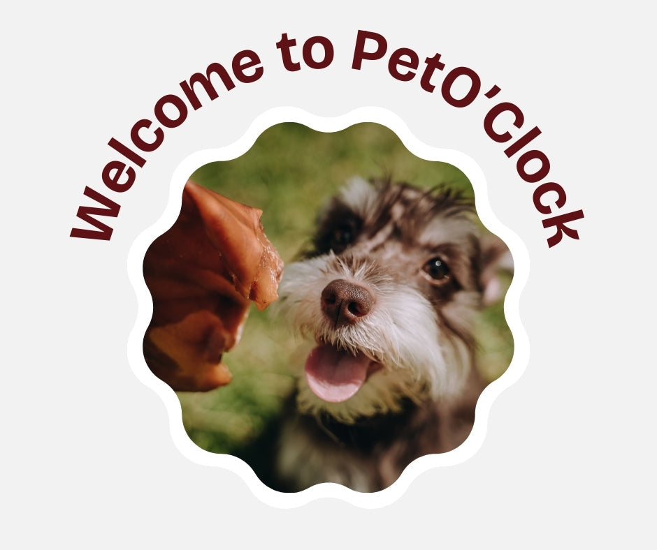 Discover Pet O'Clock: The Ultimate Natural Dog Treats for Your Furry Friend