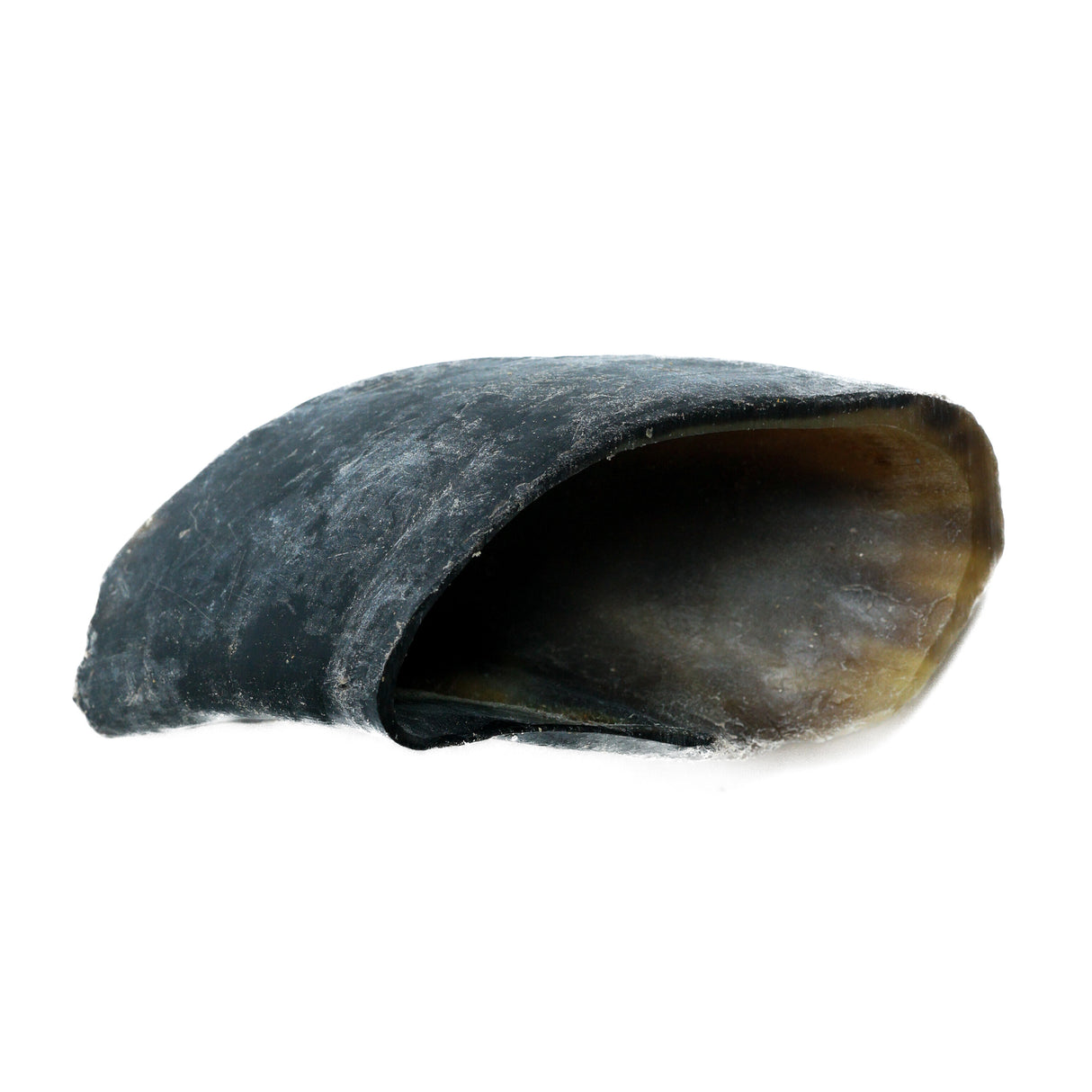 Cow Hooves Dog Chews