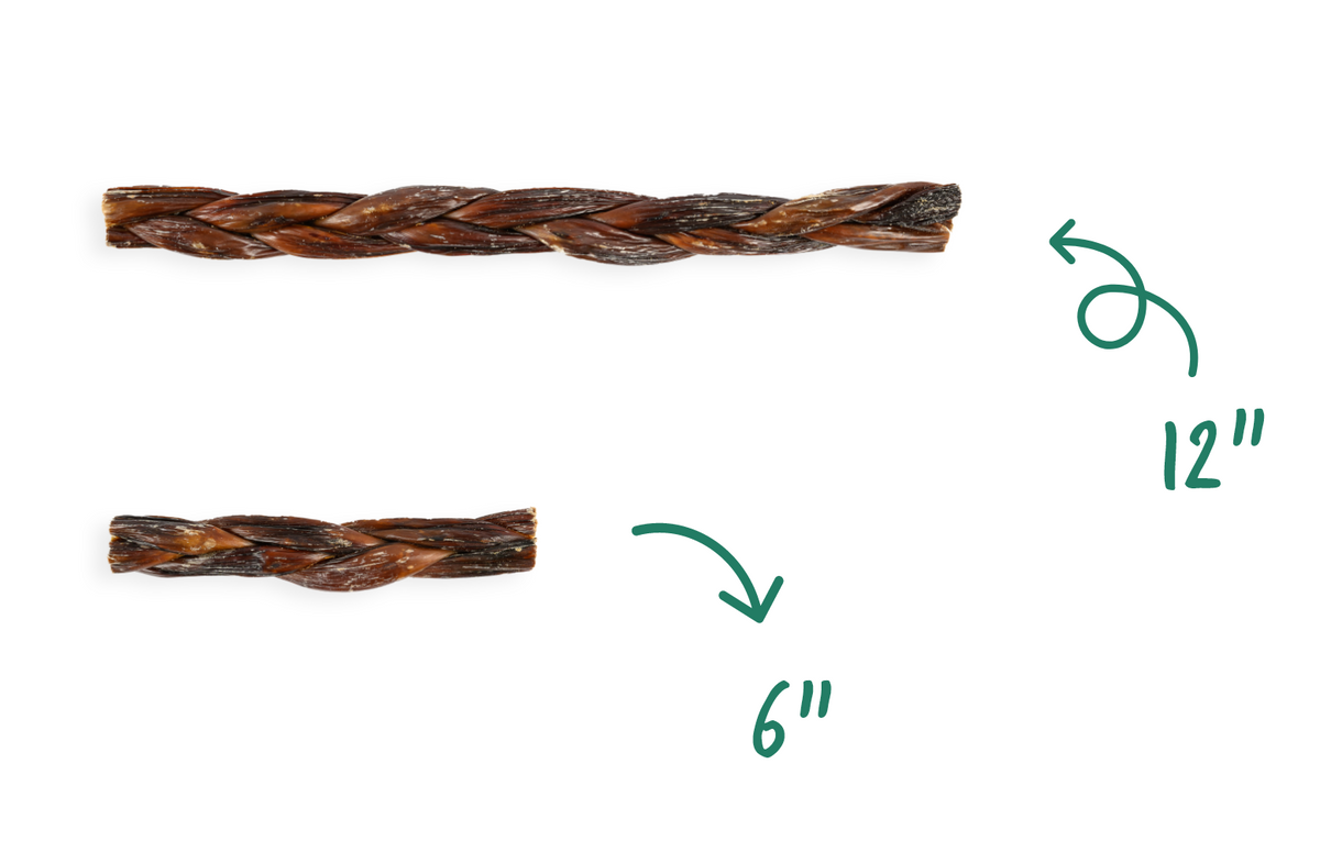 6" Braided Gullet Sticks For Dogs