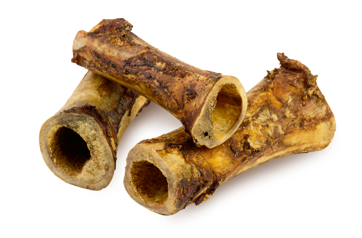 Beef Femur Dog Bone - 6 inches
