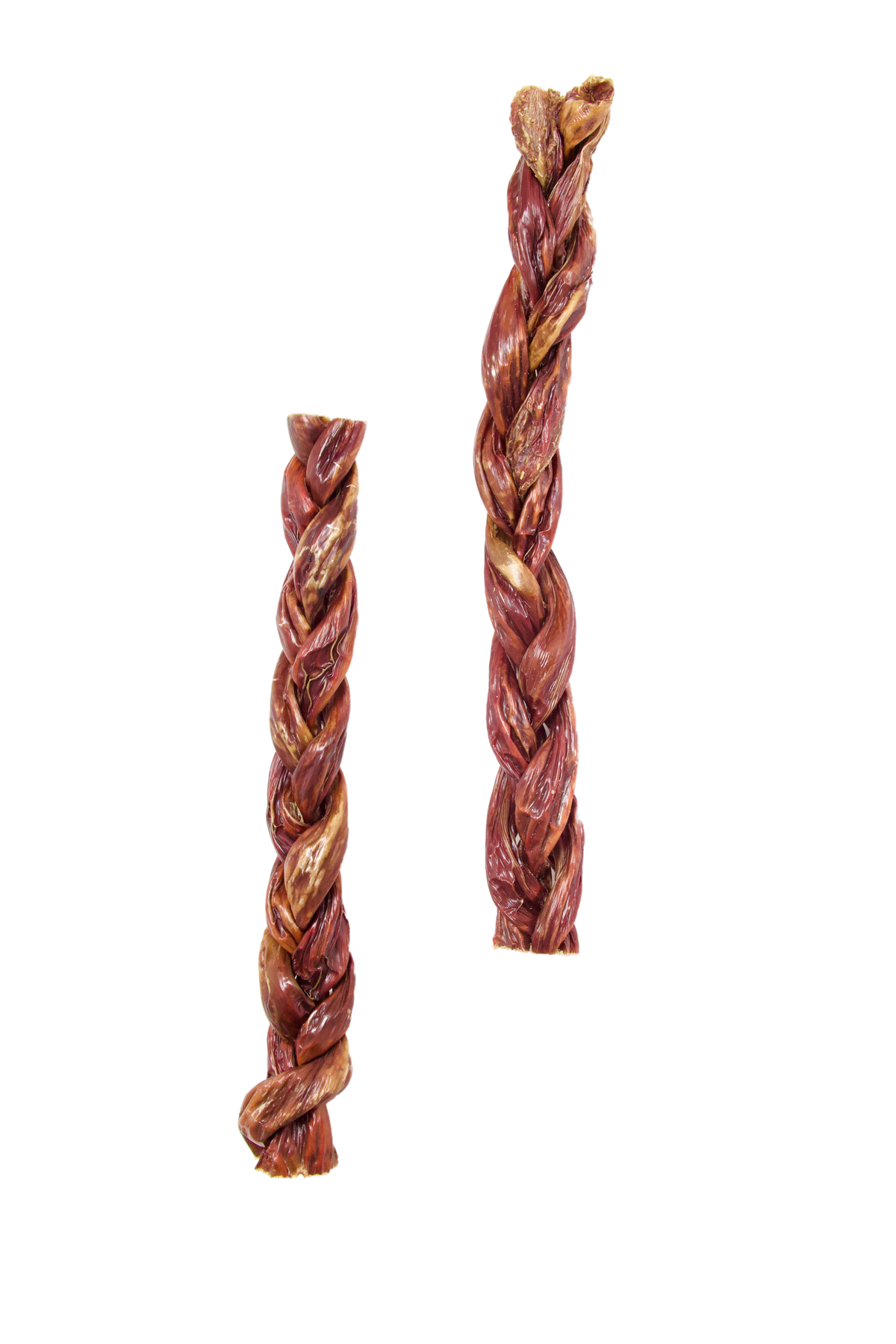 12" Braided Gullet Sticks For Dogs