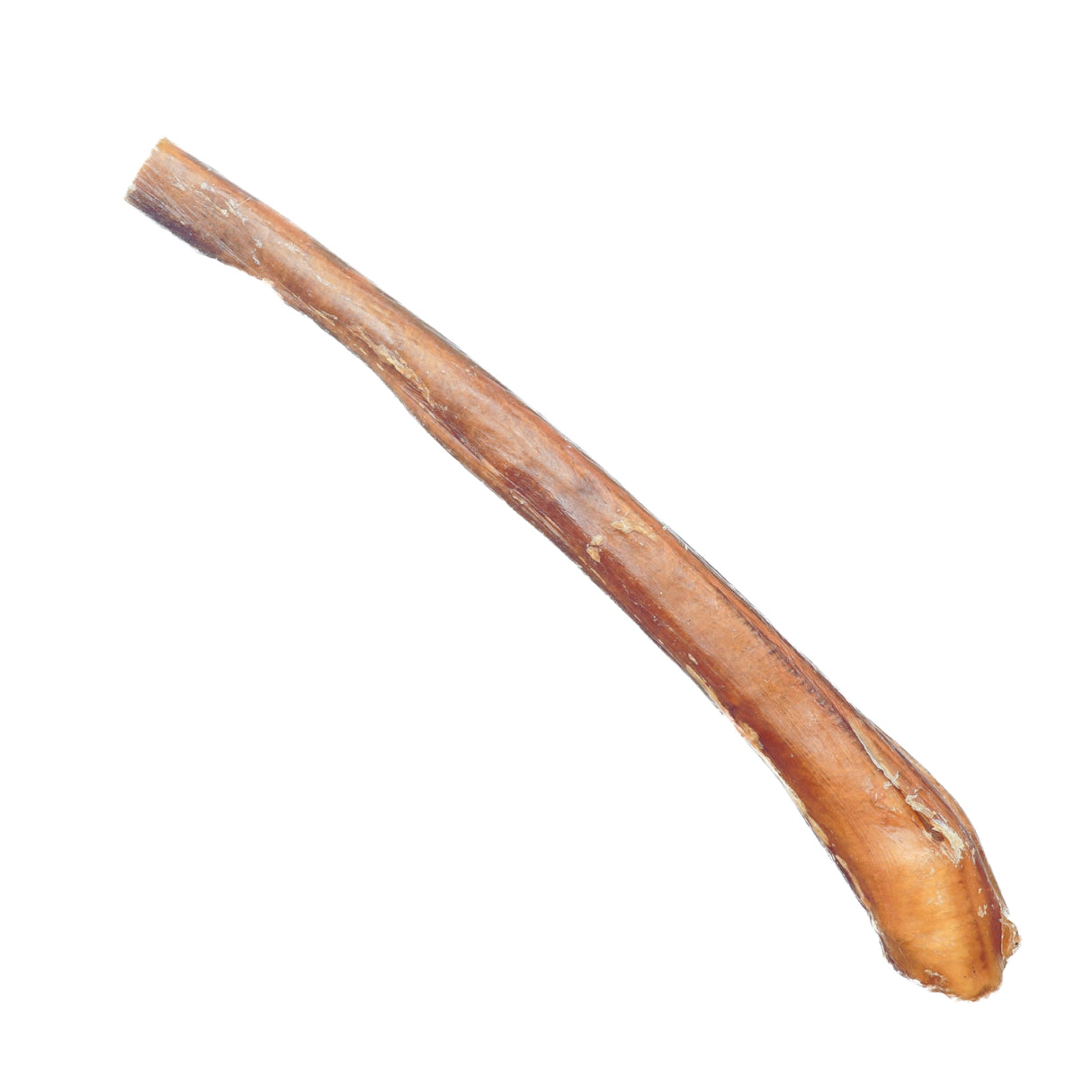 12" Jumbo Bully Stick