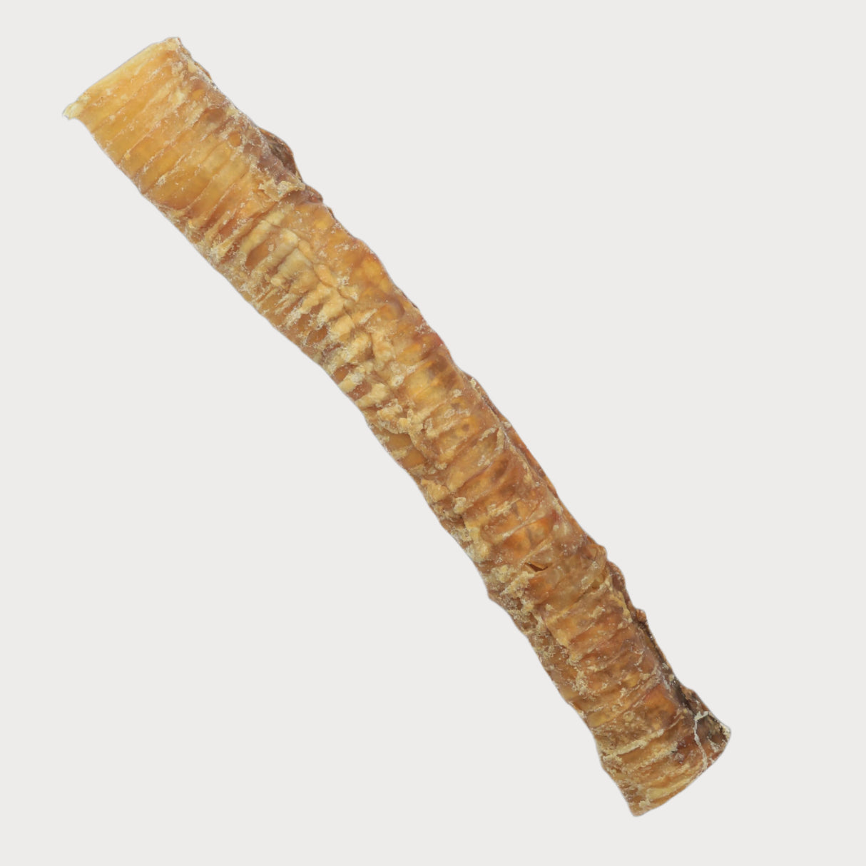Beef Trachea Tubes - 12 inch