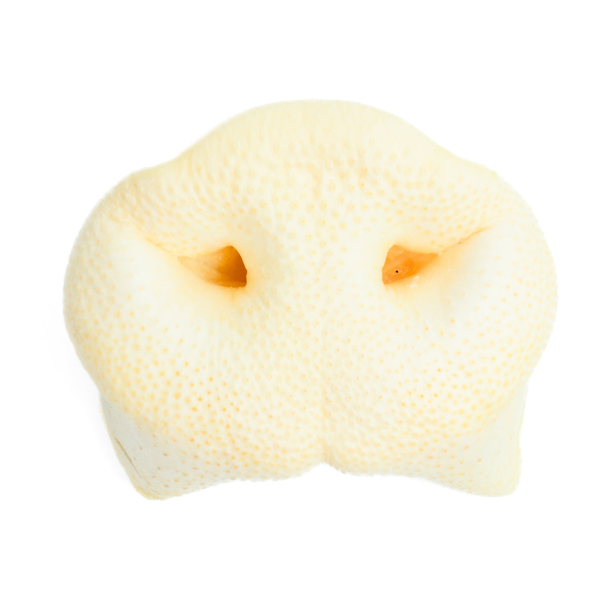 Puffy Pig Snouts